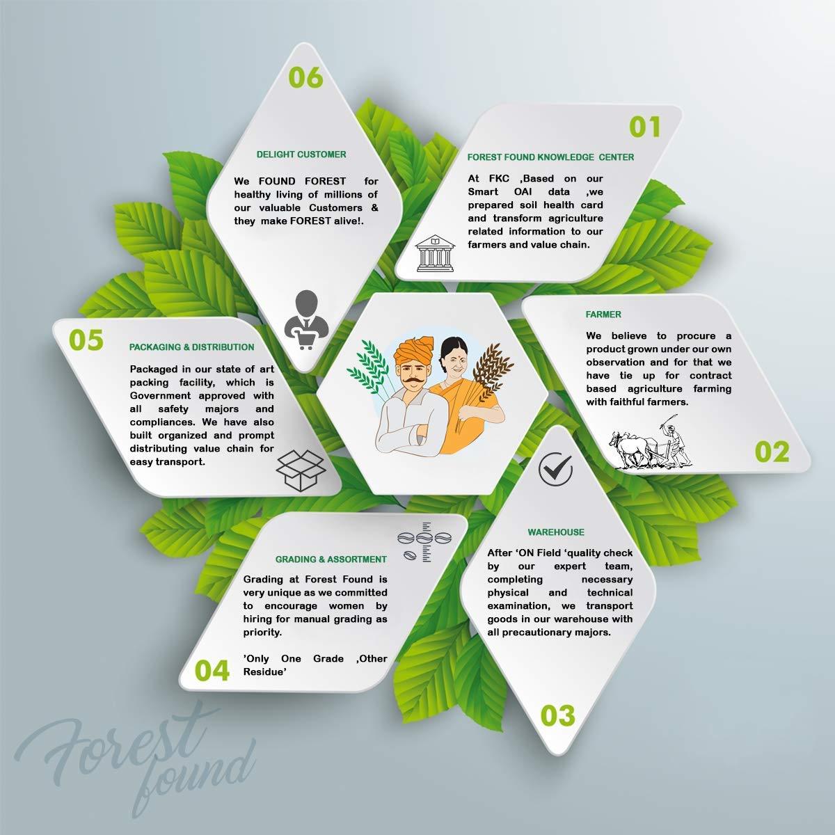 FOREST FOUND Forest Found Gluten Free Low Fat Black Chana JOR Garam Namkeen Snacks for Diet (900 Gram) | Made by Vacuum Roasted Technology, Healthy Gujarati Snack, No Salt and No Masala