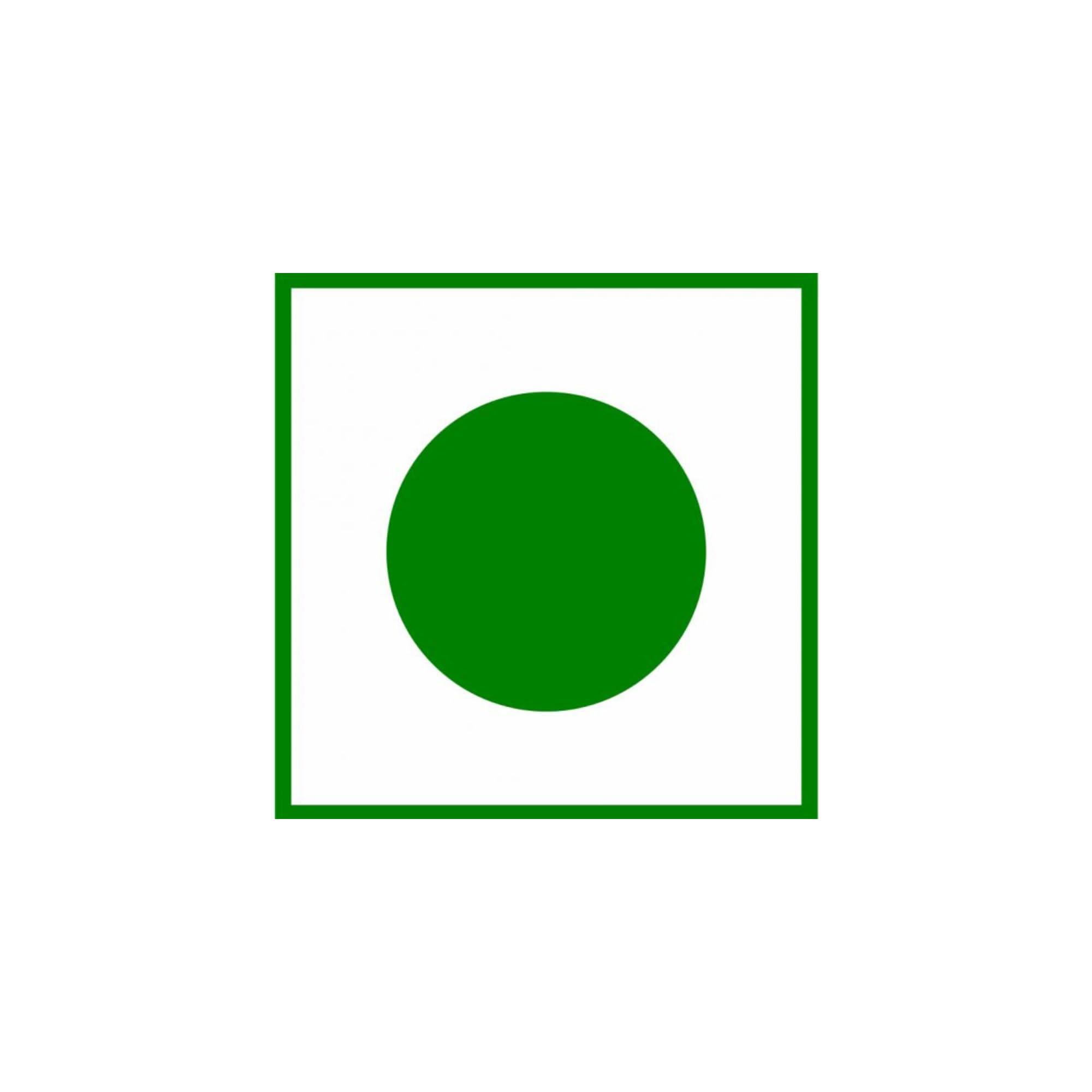 GODKA Godka™ Cahsew Nut Flour/Cashew Nut Powder,1 kg