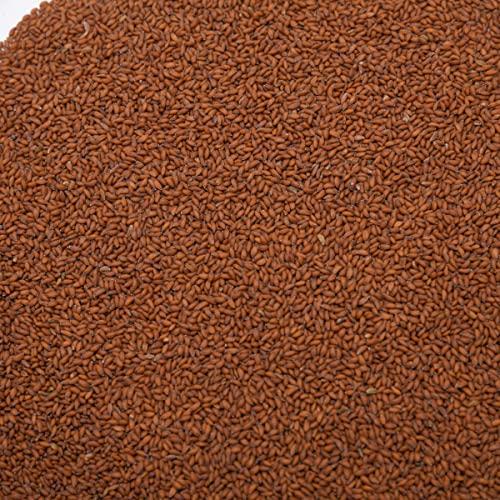 Dry Fruit Hub Dry Fruit Hub Halim Seeds 250gms, Halim Seeds Organic For Eating, Aliv Seeds, Aliv Seeds For Eating, Halim Seed, Garden Cress Seeds