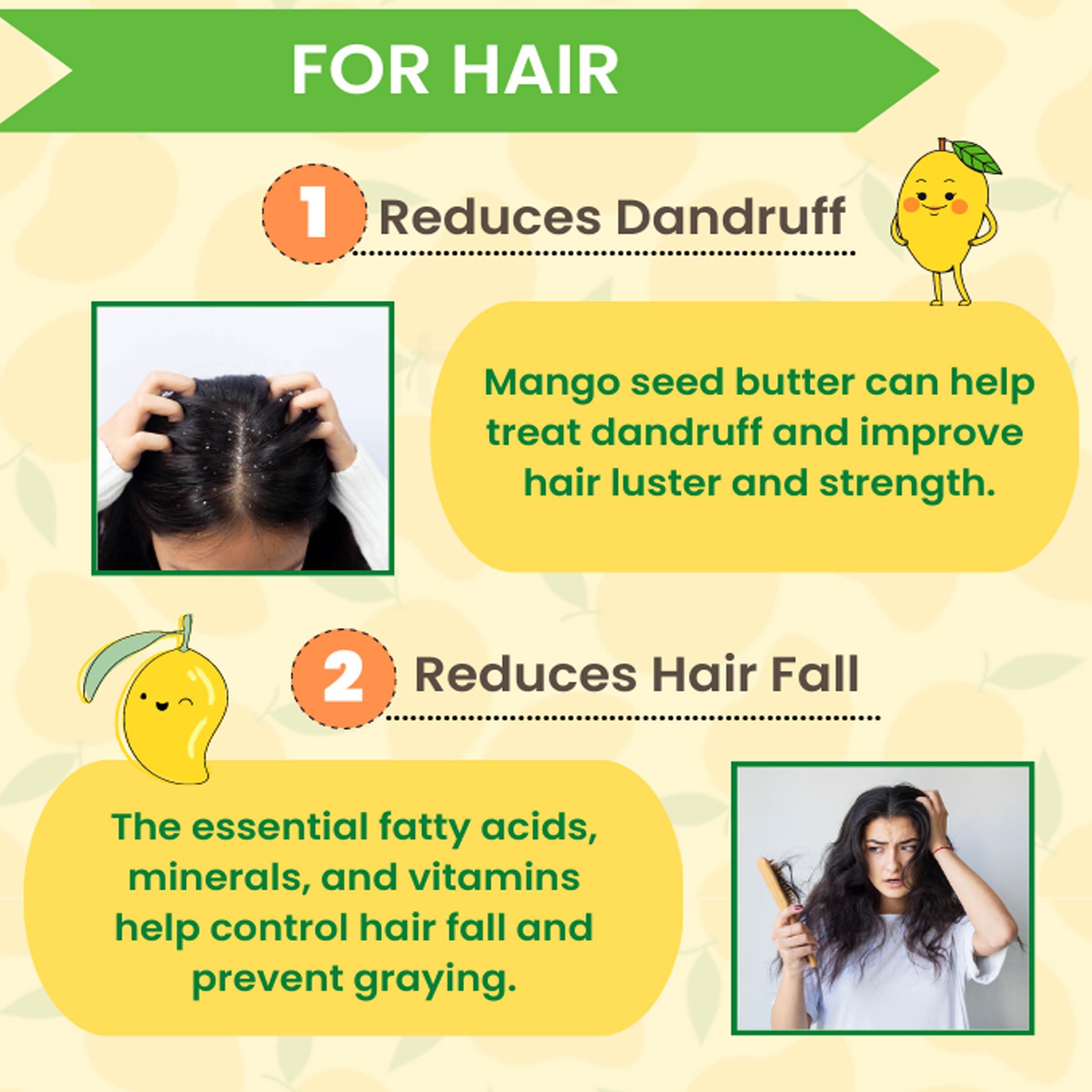 Namo Organics Namo Organics - Mango Seed Powder - 250 Gm - B12 Rich | No Preservatives | Double Filtered | No Added Impurities (250 Gm)