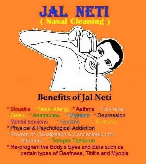 WITSOUL Jal Neti Pot for Sinus Congestion and Nasal Cleansing Nasal Cleansing Non-Corrosive Unbreakable Hygienic Smooth Nose Tip Snugly Fits Any Nostril with Cleaning Brush (stainless steel (silver))