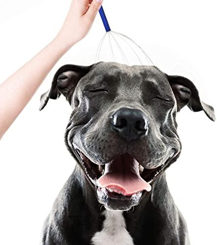 RONFILD RONFILD Manual Head Scalp Massage's Claws ,Wooden Handles,12 Steel Wire Head Massager (Pack -1), Home Massage Relax - Massage The Acupuncture Points on The Head or Body