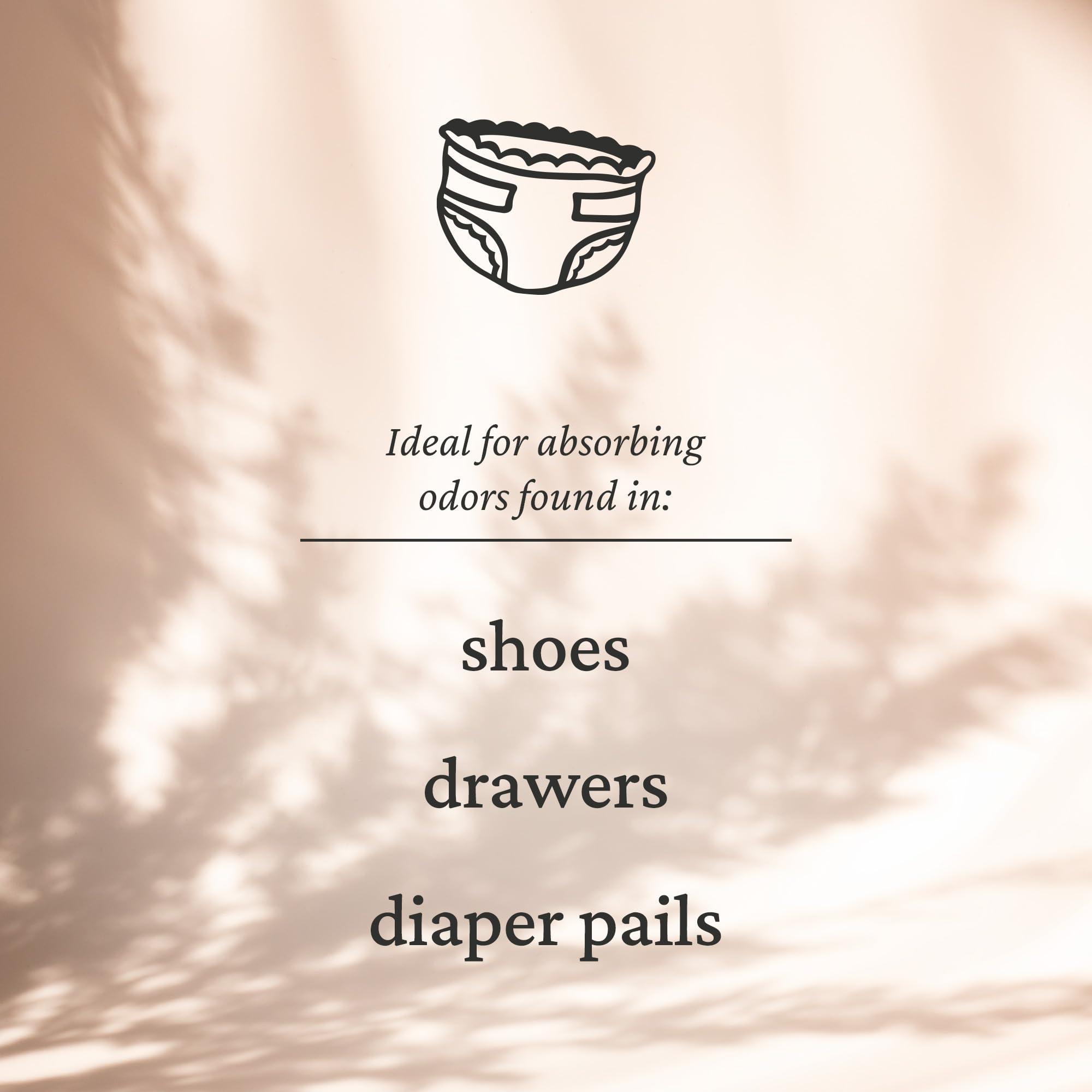 Fresh Wave Fresh Wave Lavender Odor Removing Packs + Bonus Fresh Pod Case