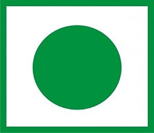 ALO FRUT Alo Frut Berries Aloevera Chunks & Juice 200ml(Pack of 48) - 1 Case | Fruit Juice Mai Aloevera Chunks | Healthy Hai Isme Aloevera Hai | Ready To Serve Drink