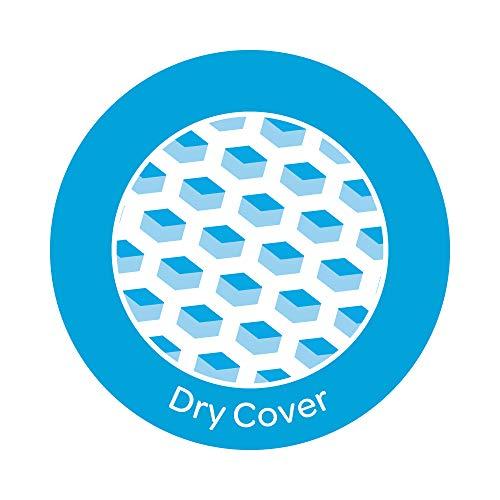 Stayfree Stayfree Secure XL Ultra Thin Sanitary napkins (40 Count) & Stayfree Dry Max All Night Sanitary napkins (28 Count)