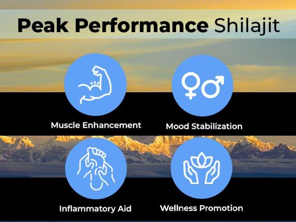 Amaara Herbs Amaara Herbs Pure Original Himalayan Shilajit/Shilajeet Resin 20g (Pack of 2) with Ashwagandha | Enhanced Strength & Stamina Formula for Men & Women | 4X Concentrated for Superior Results