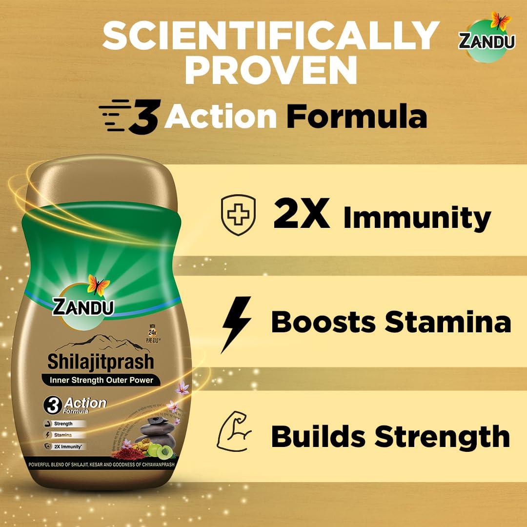 Zandu Zandu Shilajitprash 450g | Shilajit + Chyawanprash Herbs| 3 Action formula to Boost Immunity, Strength and Stamina| A Powerhouse of 47 potent Ayurvedic herbs like Shilajit, Gold,Kesar, Ashwagandha