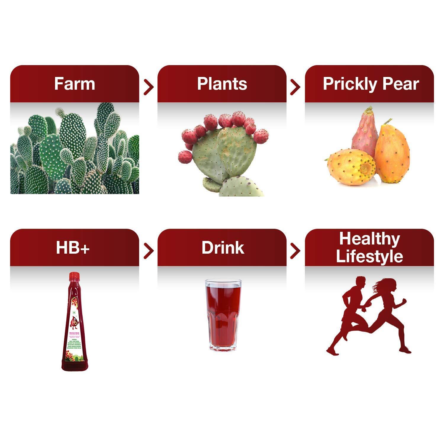 HB+ HB+ Prickly Pear Fruit Juice for Healthy Pregnancy & Chemotherapy, No Added Sugar, Sweetened with Stevia, Red, (Pack of 2)