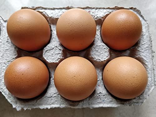 Vegiorganic NTM Natural Healthy Brown Eggs Pack of 30