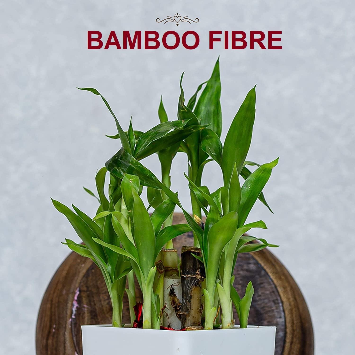 FA INDUSTRIES FA INDUSTRIES Wooden Acupressure Ball Massager (2x2 cm), Acupressure Hand Massager (6x3.5 cm), Wooden T-massager (7x6 cm) Pain Relief Combo Kit (Set of 3) (Only Massager Manufacturering)