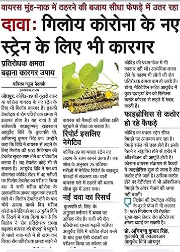 NEO DRUGS HERBAL GANGA GILOY TULSI (High Strength 500 ml)