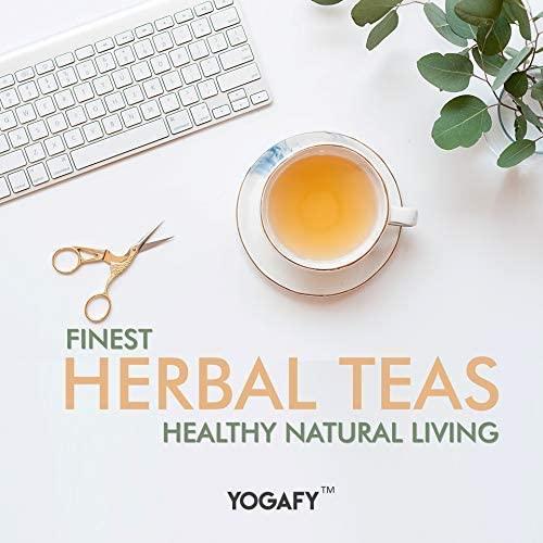 Agnesi Agnesi Spaghetti Pasta 500g, Pack of 2, Product of Italy