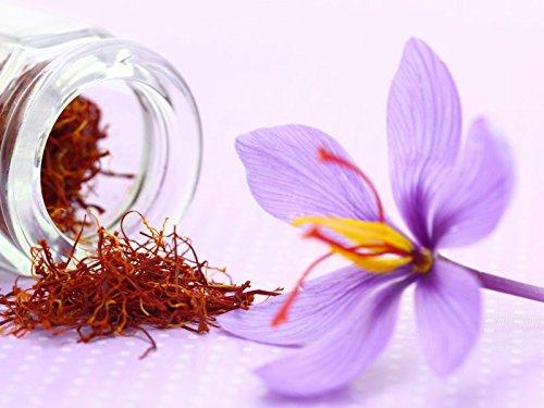 Ramayana Ramayana Original Saffron, 1 gram Pack - Highly recommended during Pregnancy