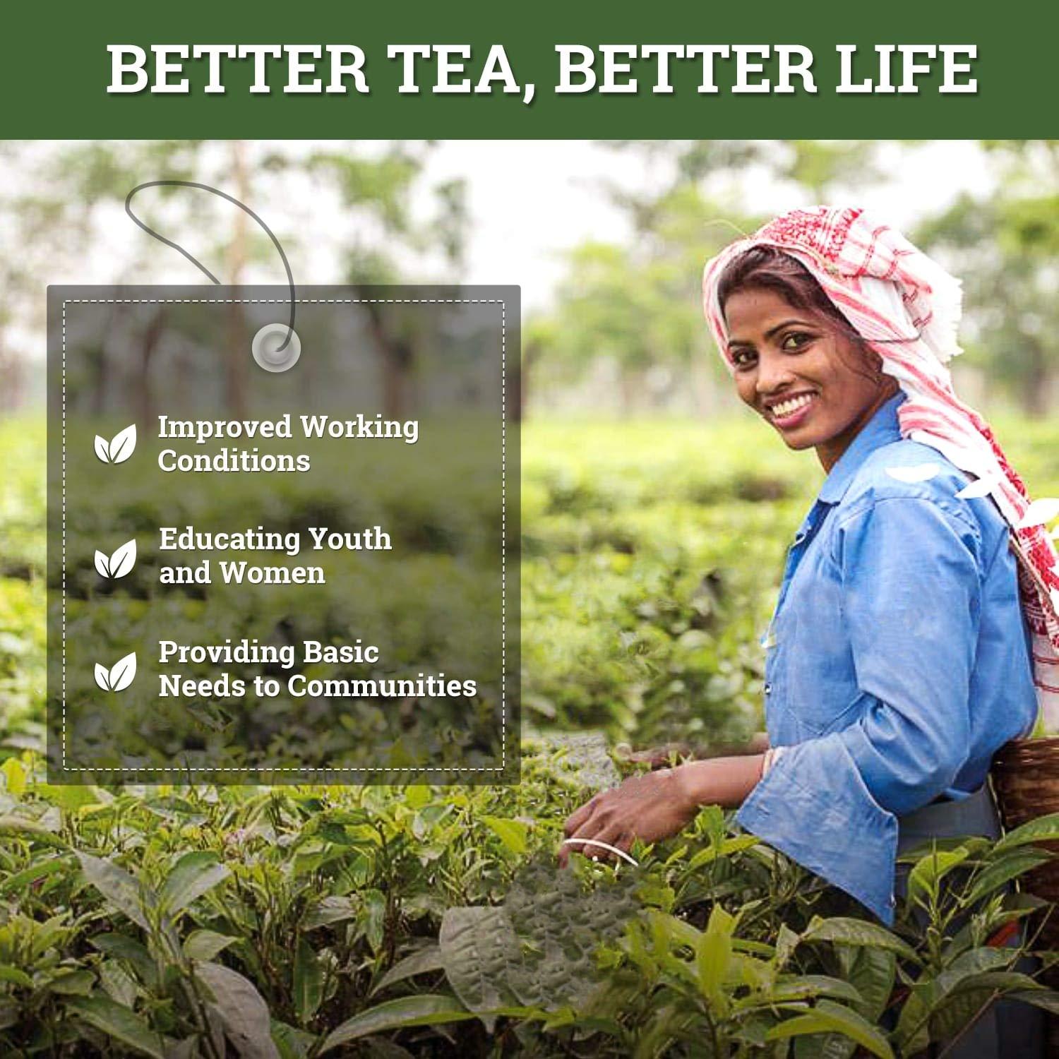 Twinings Twinings Darjeeling Tea,25 Teabags,Premium Black Tea,Twinings Origins,Light Strength,Delicate&Subtle,50 Gm,Pack of 25