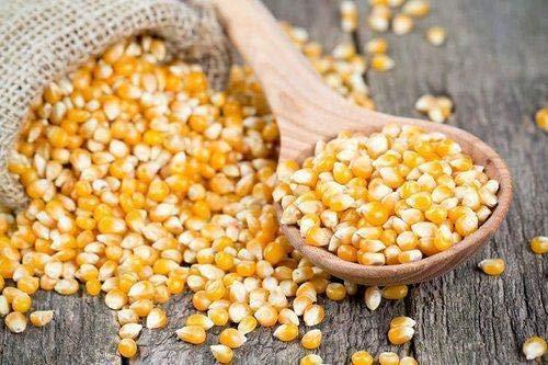 Roods Fresh Roods Fresh Popcorn Kernels | Unpopped Popcorn Seeds | Makki | Premium | 400 Gram Pack