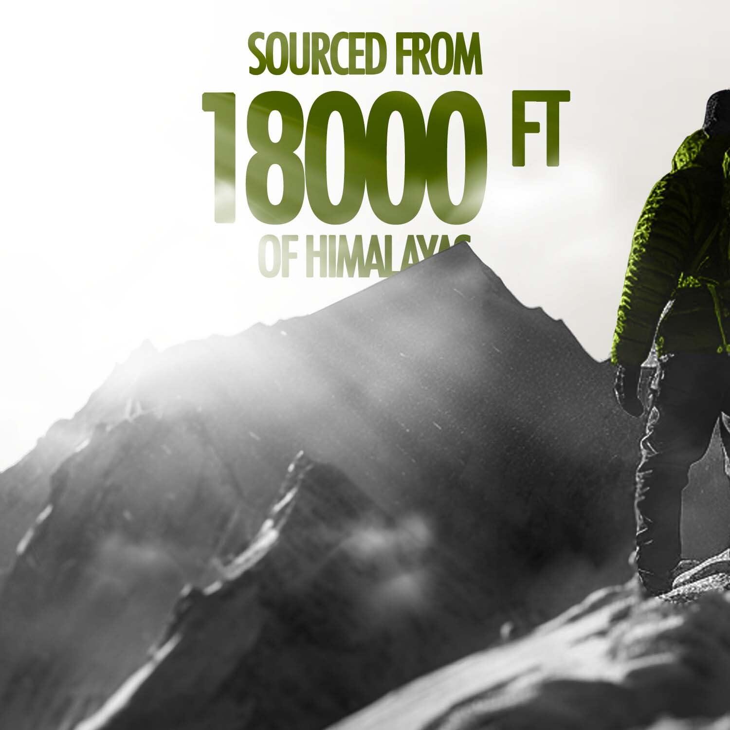 Kapiva Kapiva Himalayan Shilajit/Shilajeet Resin 10g