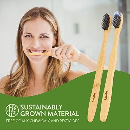 Lindo Lindo EcoGrip Charcoal Infused Bamboo Toothbrush - Soft German Made Fiber Bristles, Organic, Biodegradable and 100% Recyclable, Multi-Colored - Pack of 4