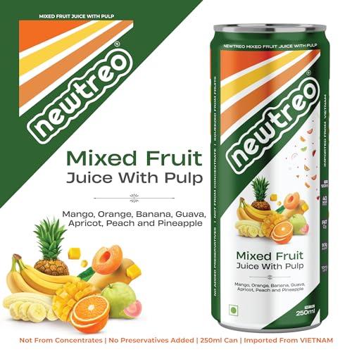 Newtreo Newtreo Mixed Fruit Juice With Pulp | Imported from Vietnam | Mango, Orange, Banana, Guava, Apricot, Peach & Pineapple Juice | 12 x 250ml cans | No Concentrates or preservatives added