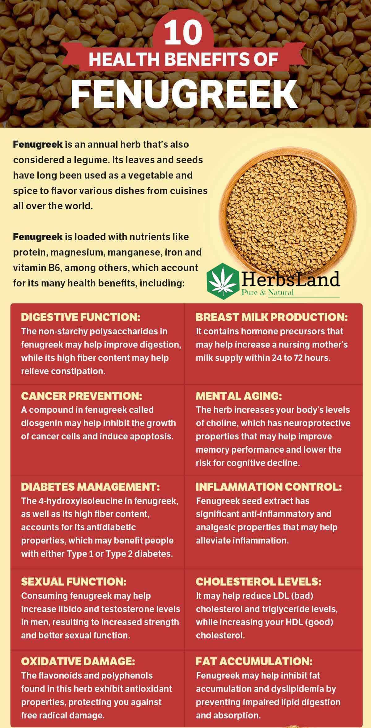 HerbsLand HerbsLand Fresh/Natural Dried Fenugreek Seeds | Trigonella Foenum-Graecum | Whole Methi Dana Seeds | Menthya,Venthayam,Menthulu | Indian Spices & Masala (Pack of 3) (200gm Each) (600 gm)