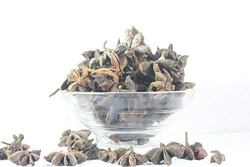 GODKA Godka Star Anise Seed/Badiyan/Chakri Phool,500g