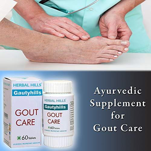 HERBAL HILLS Herbal Hills Gautyhills Tablets (60 Tablets (Pack of 2))