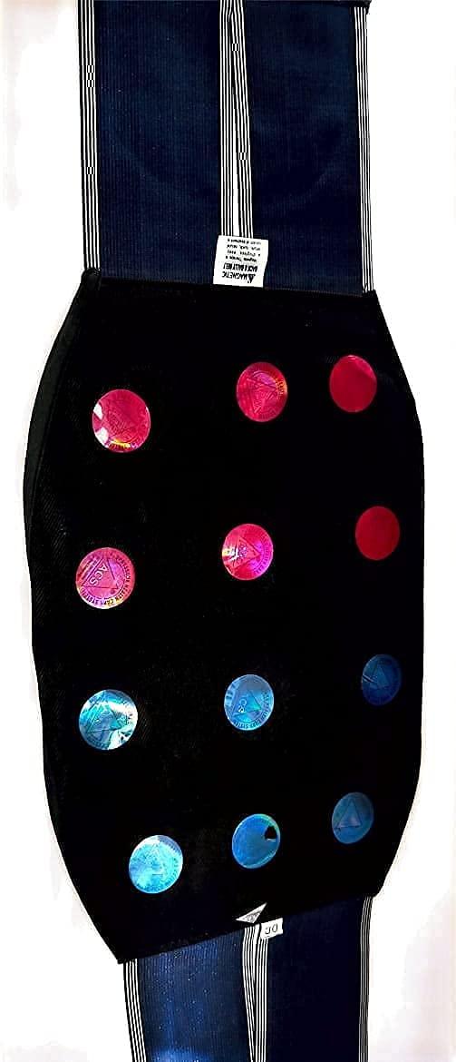 EKIN 12 Magnet Back & Abdomen Support/Magnetic Slimming Belt/Multi Energy waist and belly Belt Blue (Black, 28)