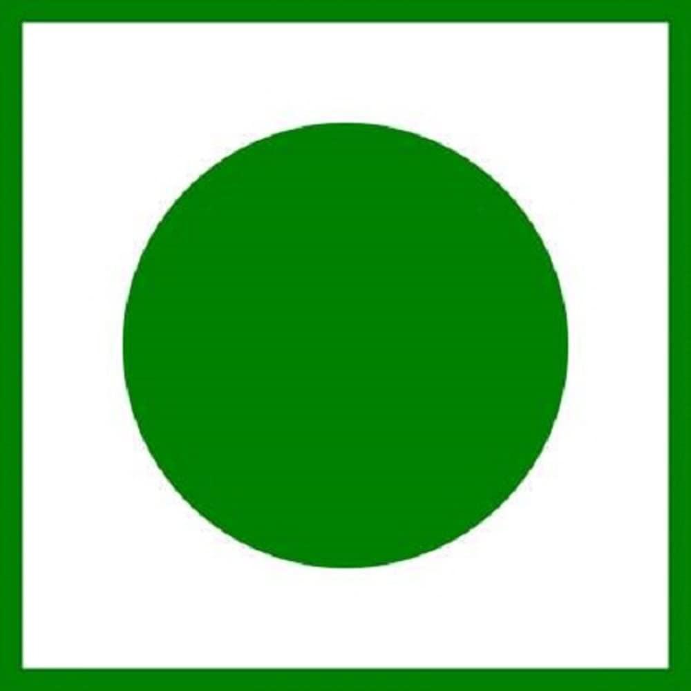 K3 Masala Green Piece Jain Schezwan Dipping Chutney Without Onion Garlic (250gm X 2) (Pack of 2)