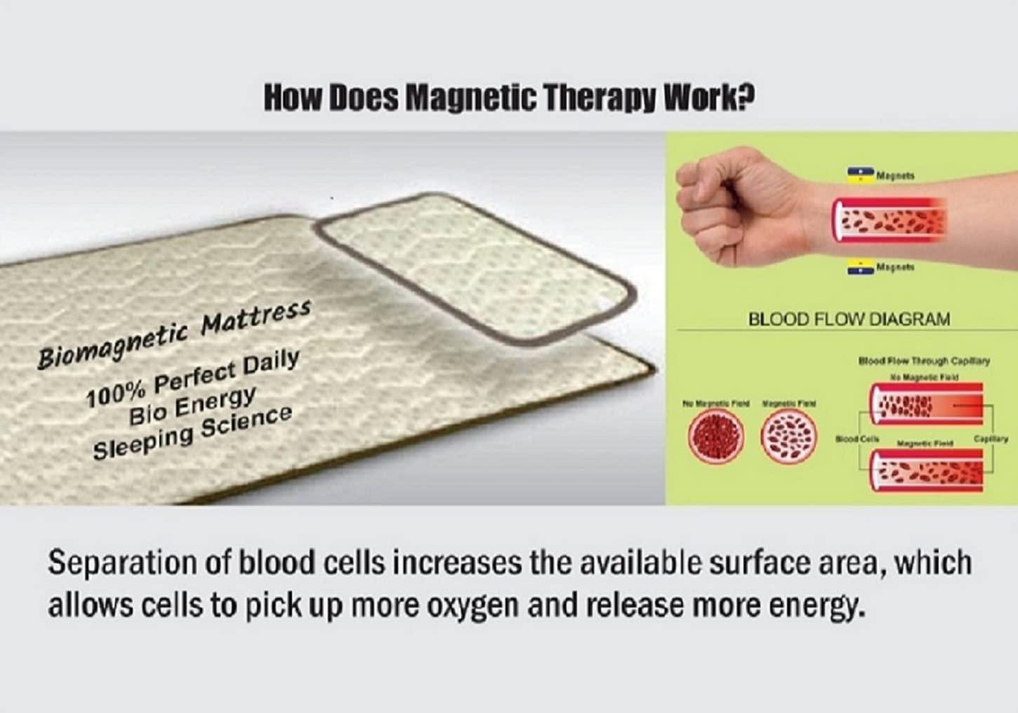 Generic BIO Energy Magnetic Field Sleeping Therapy Blue Mattress Topper/PAD (3x6 feet) with 1 Pillow Pad