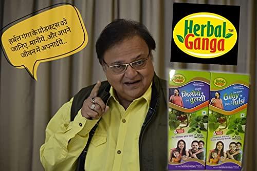 NEO DRUGS HERBAL GANGA GILOY TULSI (High Strength 500 ml)