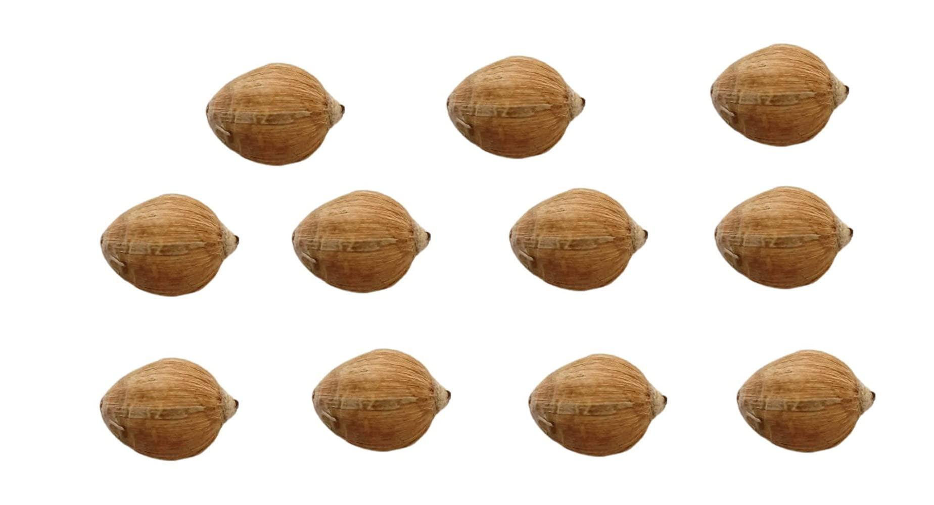 Generic Vedant Enterprises Bharat Original Laghu Coconut - Sriphal - Laghu Nariyal For Pooja |Set of 11 Pieces,Brown,Fresh