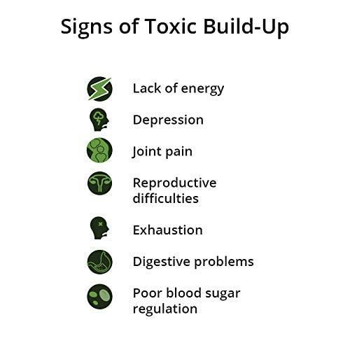 Parry's Wellness Parry's Wellness Organic Chlorella The Ultimate Detox Superfood Protects Liver and promotes Health | Removes Heavy Metals & Body Toxins | 100% Organic & Safe | Made In India – 60 Tablets (500mg Each)