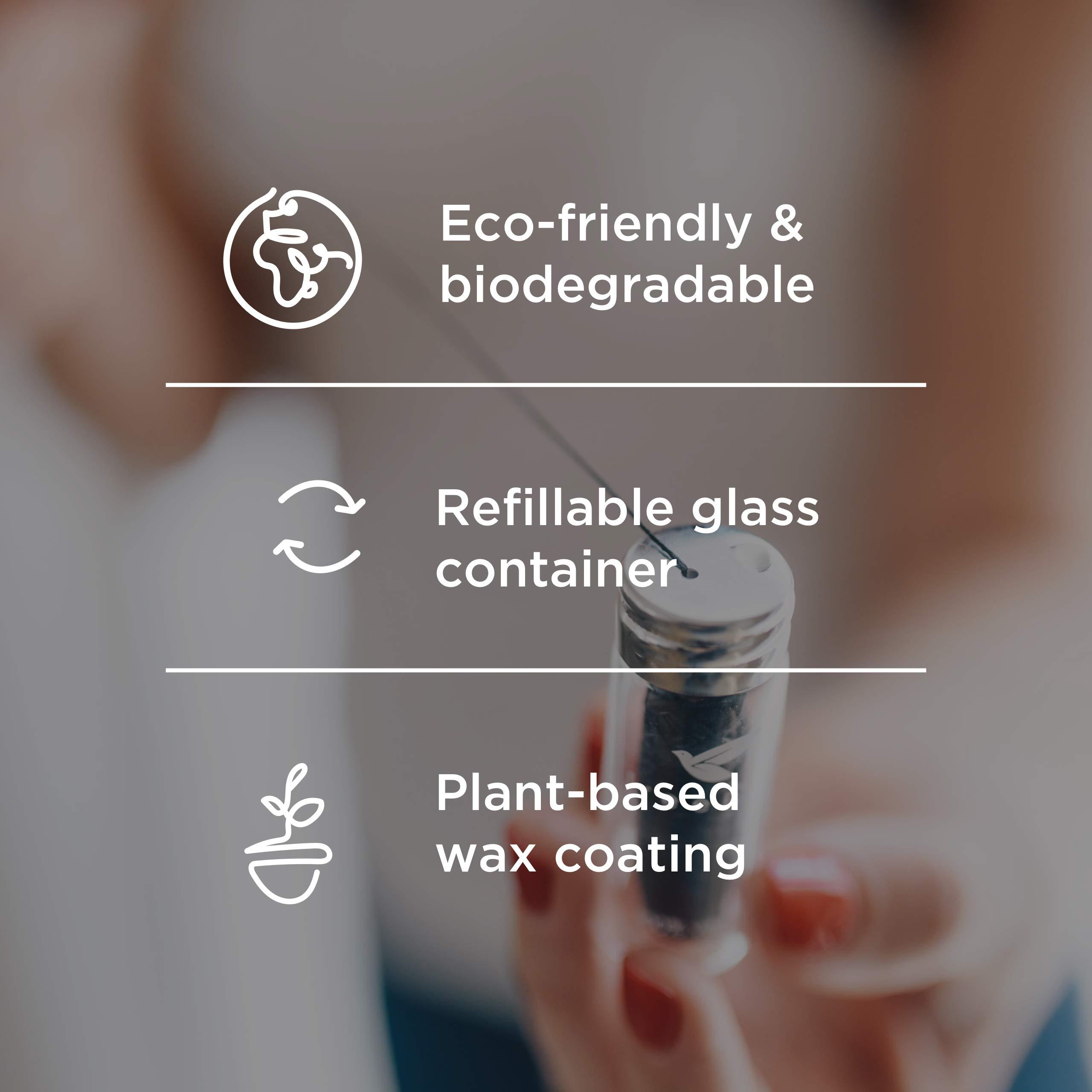 TreeBird Organic Biodegradable Bamboo Charcoal Dental Floss & Refillable Glass Holder | Vegan | Naturally Waxed With Candelilla Wax | 33yd Thread Spool | Eco-Friendly Zero Waste Oral Care | Mint Flavored