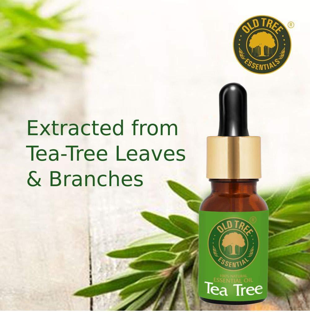 Old Tree Old Tree Pure & Natural Tea Tree Essential Oil (15ml) - for Skin, Diffusers, Hair, Body, Acne, Nail care - Undiluted Essential Oil with Dropper for Aroma Therapy and Stress Relief