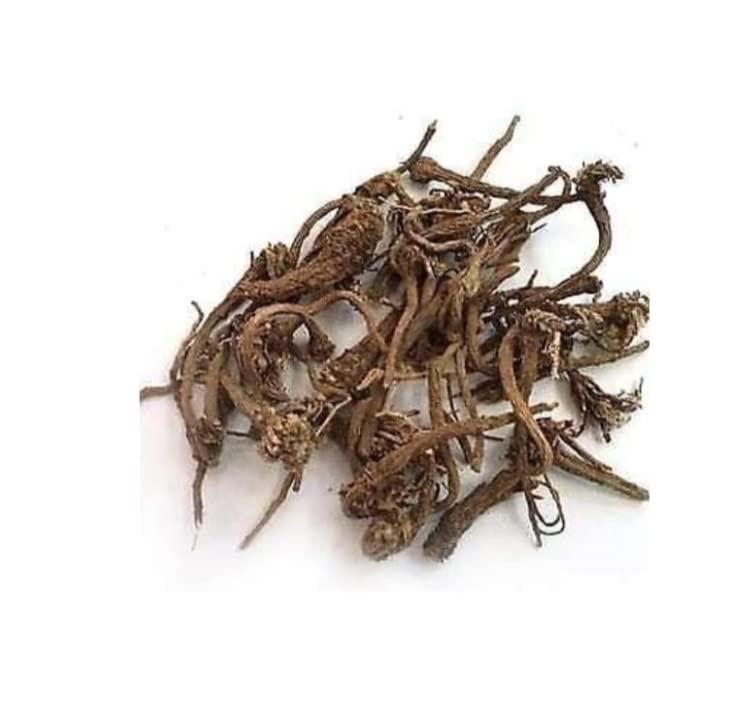 Generic Treasure Wave Safed Aak Plant Root 250Gm,AAK KI JAD