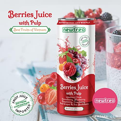 Newtreo Newtreo Berries Juice With Pulp | Imported from Vietnam | Strawberry, Blueberry, Raspberry, Cranberry, Red Grapes & Sea Buckthorn Juice | 12 x 250ml cans | No concentrates or preservatives added