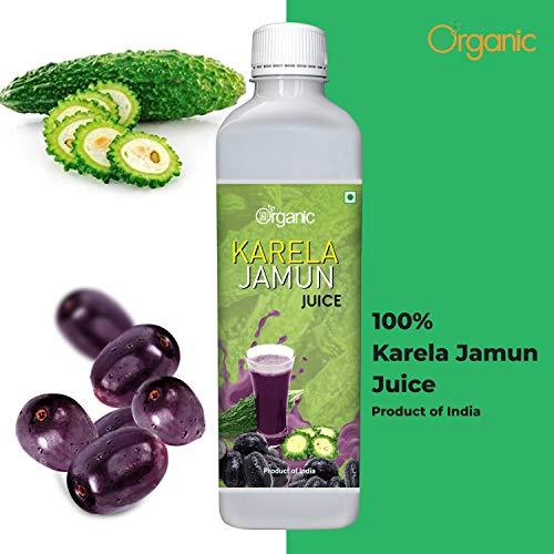 360 Degree Organic 360 Degree Organic Karela Jamun Juice for Controls Blood Sugar Levels | Fights Cholesterol | Helps Improves Digestion | Helps Build Immunity | Skin Wellness - No Added Sugar - 500 ml (Pack 1)