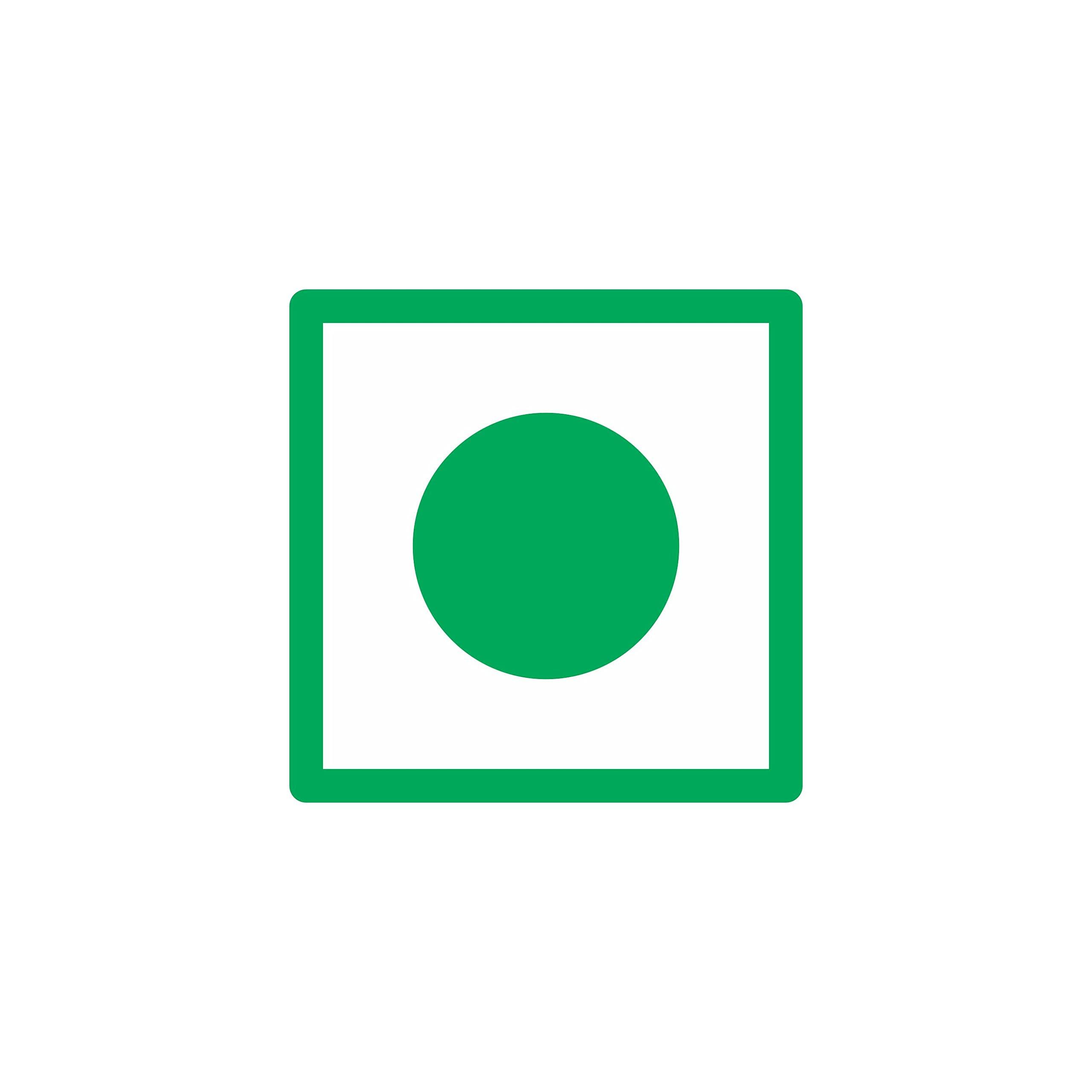 HILLS ORGANICS HILLS ORGANICS Raw Pumpkin Seeds - 500G l 100% Fresh Natural Rich in Protein & Fiber, Gluten Free Dry Fruits & Nuts Pumpkin Seeds - Jar Pack