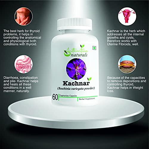 Authentica naturals Authentica naturals Kachnar Capsules | Bauhinia variegata | Reduces Thyroid Issues | Removes Mouth Ulcers & Bad Breath | Improves Liver Functioning | 850 mg (60 Vegetarian Capsules)