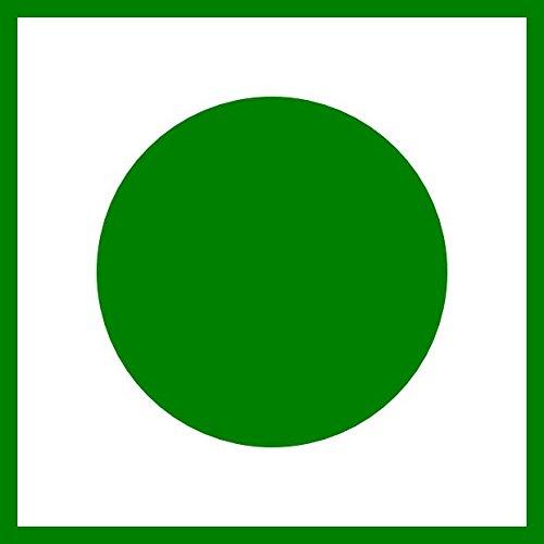 Testle Foods Testle Foods - Premium Dried Golden Raisins | Yellow Kishmish (Kismis) | Seedless Dry Grapes - 400g