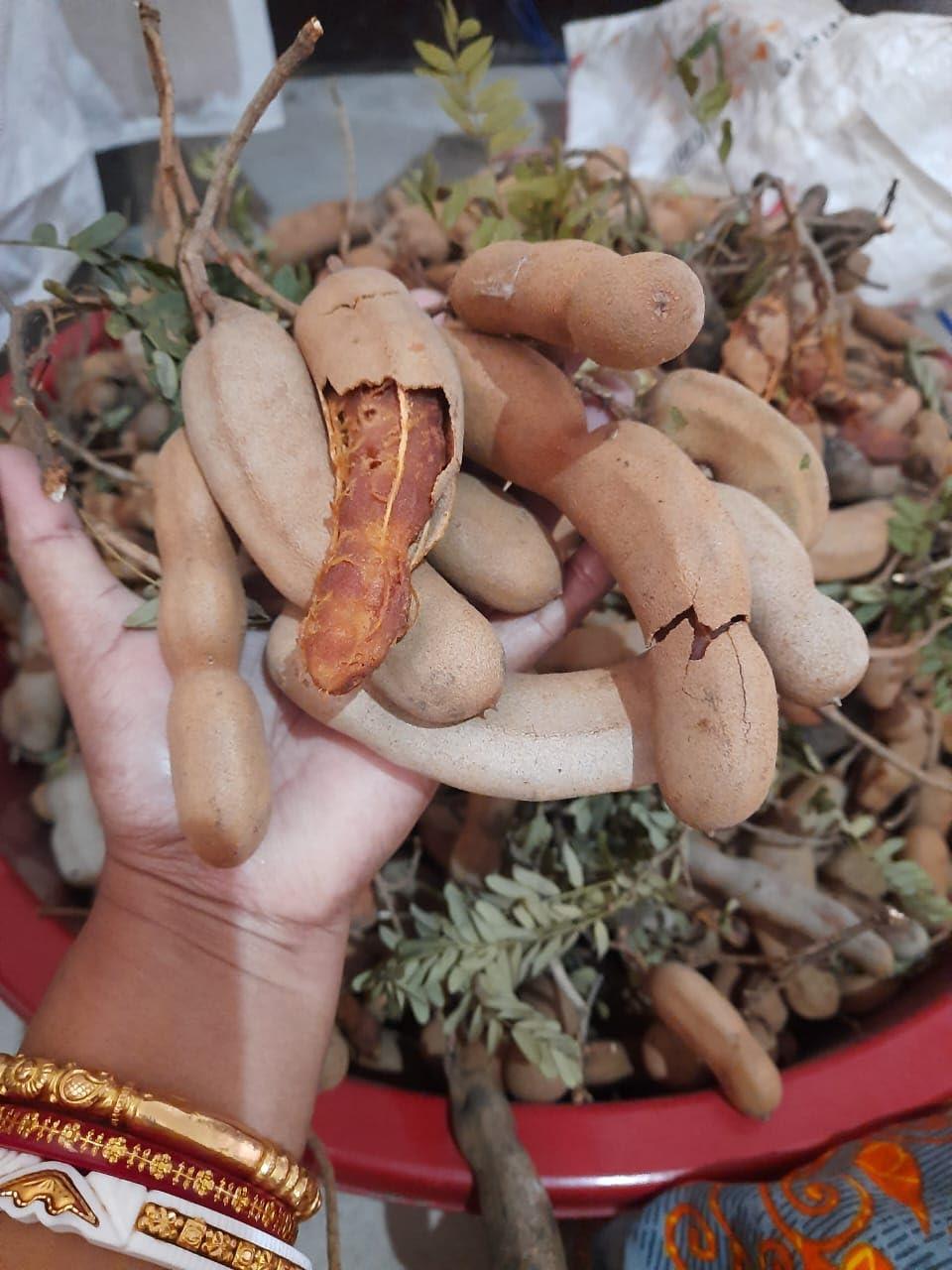 MOMS PICKLE MOMS PICKLE Tamarind Pickle|Homemade Style Chatpati Imli ka achar|Tetuler Achar | Sweets & Sour 180gm