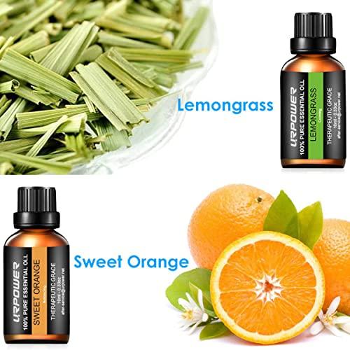 URPOWER URbeauty Essential Oils, Upgrated 6 Aromatherapy Essential Oil Diffuser Essential Oils 100% Pure Lavender, Peppermint, Sweet Orange, Eucalyptus, Tea Tree, Lemongrass Essential Oil Gift Set 10ml/each