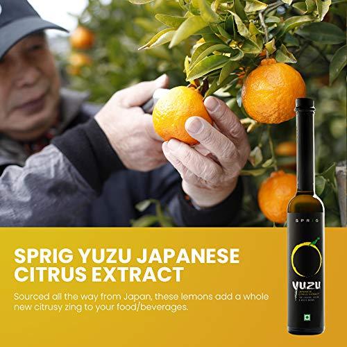 S P R I G Sprig All Natural Yuzu Extract | From Japanese Yuzu Extract | Yuzu Extract & Flavouring | Yuzu Extract for baking cakes, whipped cream, Pastries, Desserts & Beverages | Vegan | 120 g