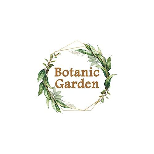 Botanic Garden Botanic Garden Berberis aristata Raw Herb | Daru-Haldi | Berberry Root Herb | Tree-Turmeric – 100g