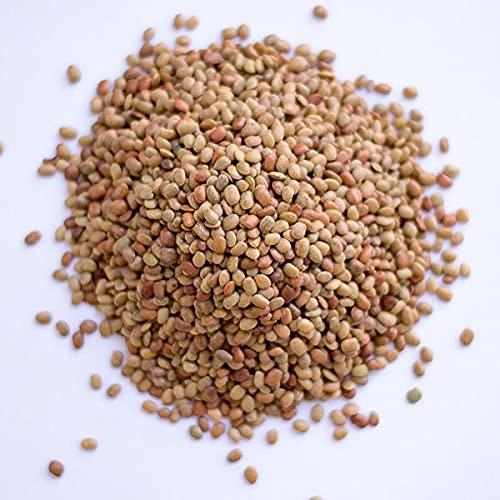 SR Foods SR Foods Special White Channa & Horse Gram Dal Combo 1Kg( Each 500g ) | Kondai Kadalai | Saphed Chickpeas | Karuppu Sundal | Kulthi Dal ( Kulatha ) | Kollu Paruppu