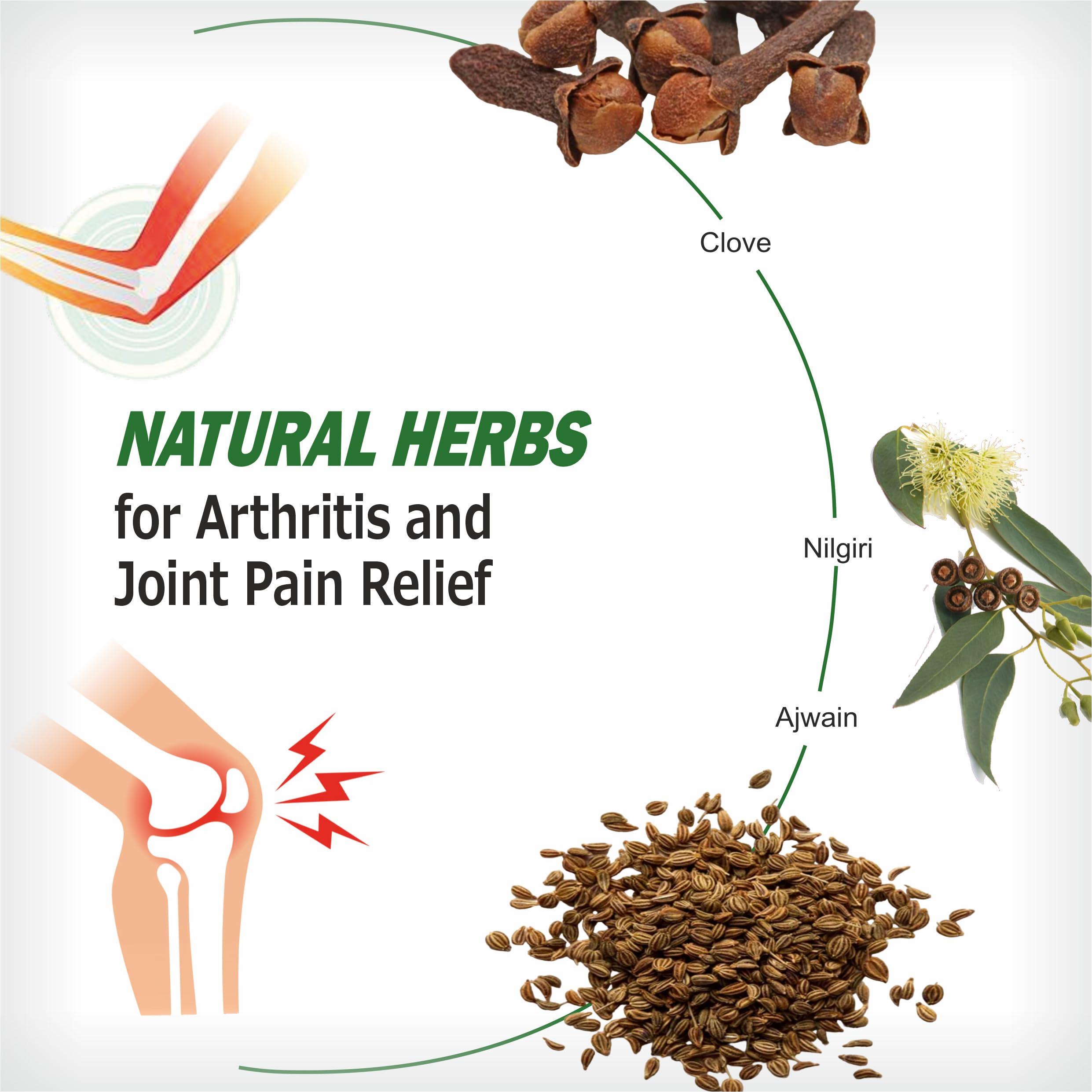 Dr. Bhushan\'s Research Dr. Bhushan\'s Research Ayurvedic Pain Relief Battle Balm 55 gm for Joints Pain, Knee Pain, Back Pain, Muscle Pain Shoulder Pain - Pack of 1