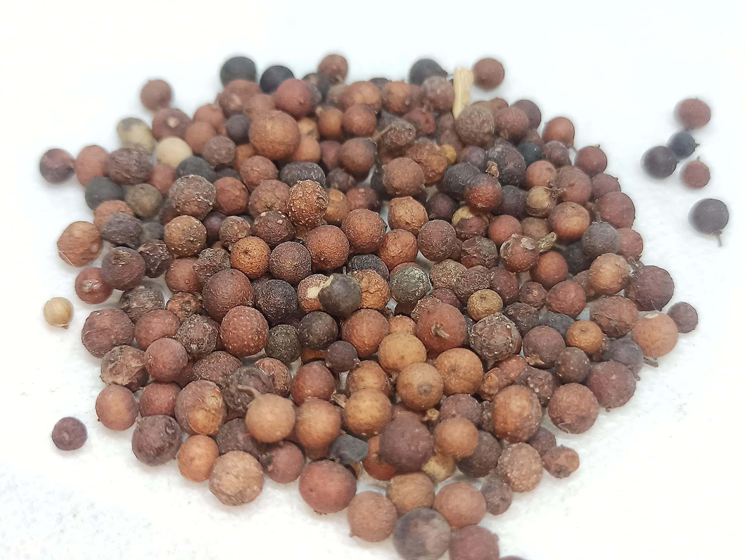 NavaFresh Basics NATURALIFE'S-*VAAI VIDAGAM*-FALSE BLACK PEPPER I Vilanga I vayu vilanga I Vay Vidang I Balbidang I Bhabhirang I Vayu Vidangalu I Vidang I Bidang I Bavidang I Bavidang I Bavadang (250 GRAMS)