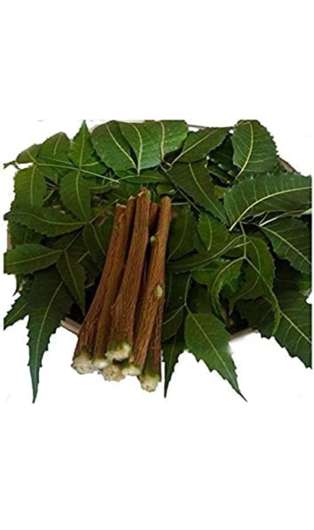 Everything Creations Natural Neem Chew Sticks/Tree Datun Twigs Organic Toothbrush Pack of 20