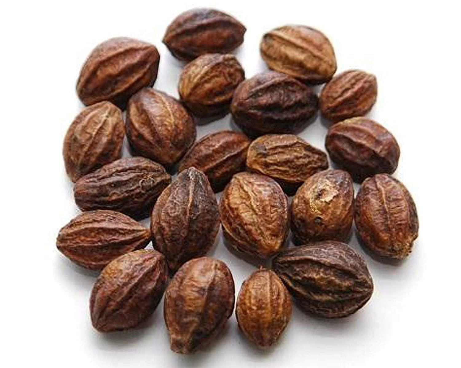 3V PRODUCTS Kadukkai 400g | Haritaki | Karakkaya | Harad | Myrobalan | Terminnalia Chebula (Whole)