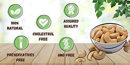 tryble Tryble Combo Pack of Two Flavour Cashew | Plain 200g & Roasted and Salted 400g | Kaju | W320 Grade Whole Cashews | Nutritious, Delicious & Crunchy Kaju