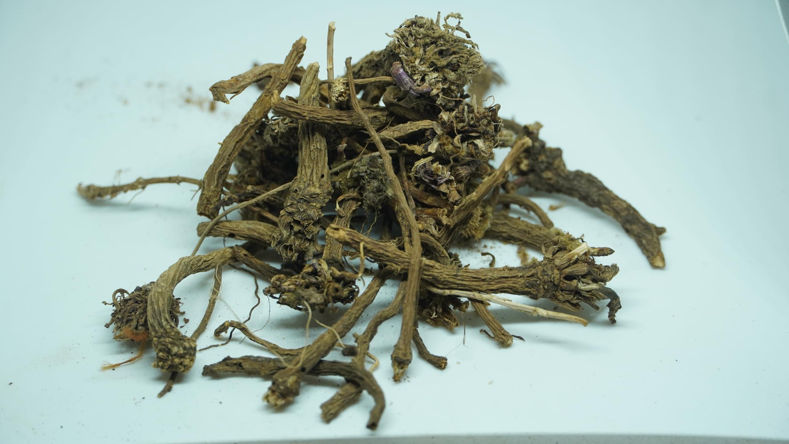 THOGAI THOGAIS -AGRAKARAM- / Pellitory/Mount Atlas Daisy/Spanish Chamomile/Akarkara/Akkorakaro/Aakarkara/Akkalakara/Akarakaram/Akkirakaram (25 GRAMS (PACK OF 1))